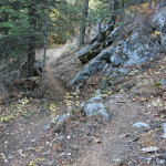 Vandelay Trail